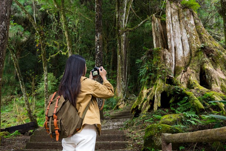 Hidden Travel Destinations You Must Explore🌿?